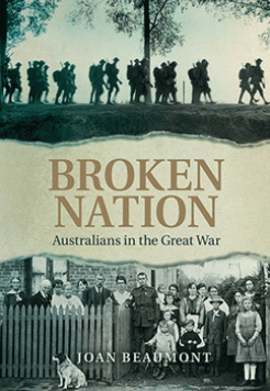 book-cover-broken-nation