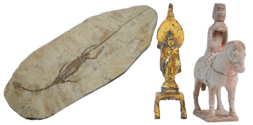 A Hyphalosaurus fossil, a Tang Dynasty gilt bronze Avalokitesvara figurine, and a Tang Dynasty terracotta horse and rider figurine were returned to the Embassy of China in October 2023.