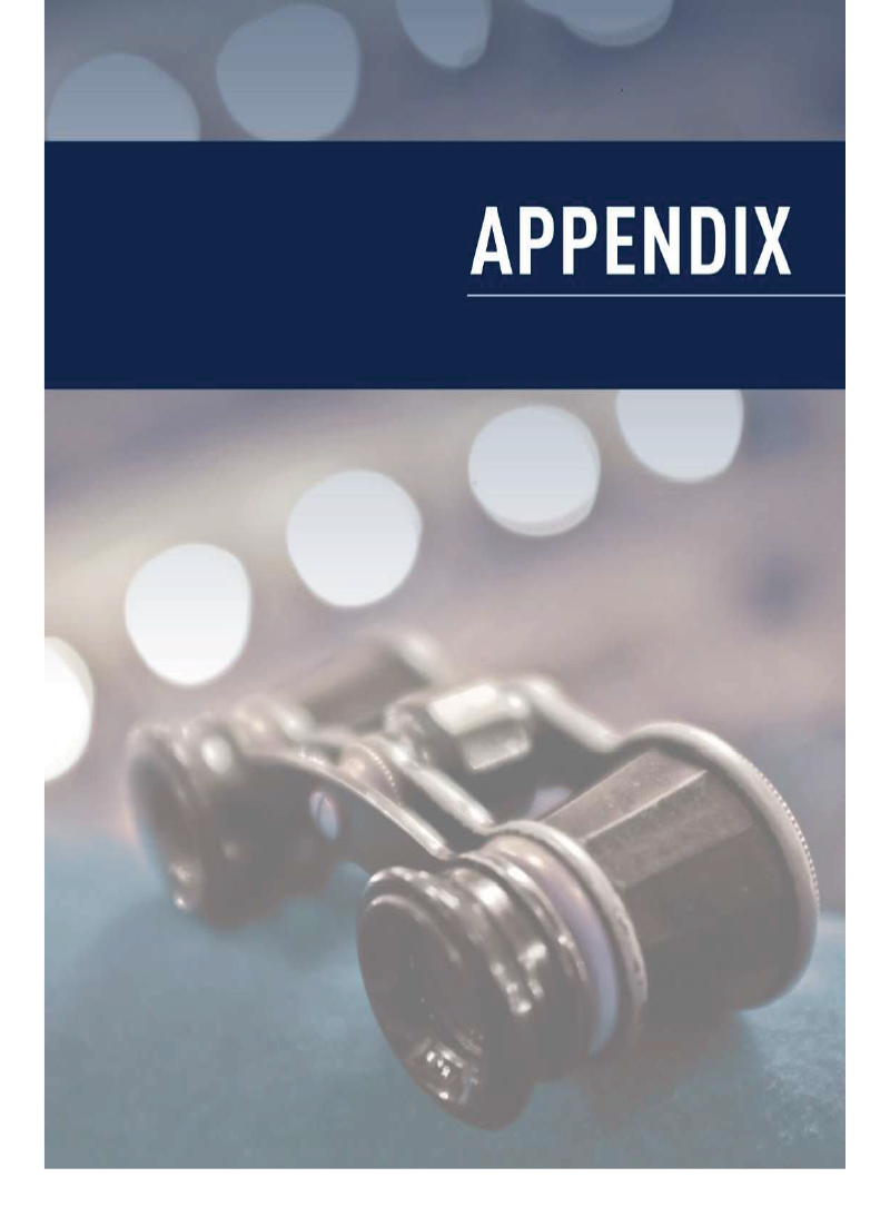 National Opera Review - Final Report Appendix