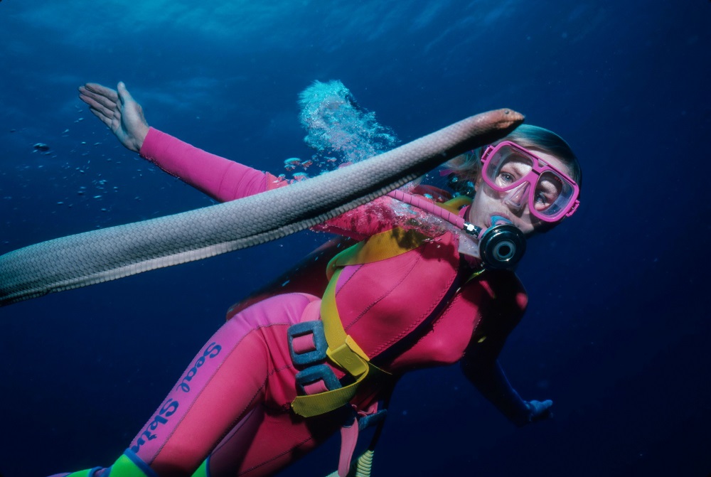 Valerie Taylor in a pink scuba suit under water, breathing through scuba equipment.