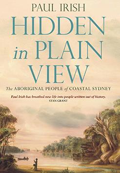 paul-irish-hidden-in-plain-view-cover