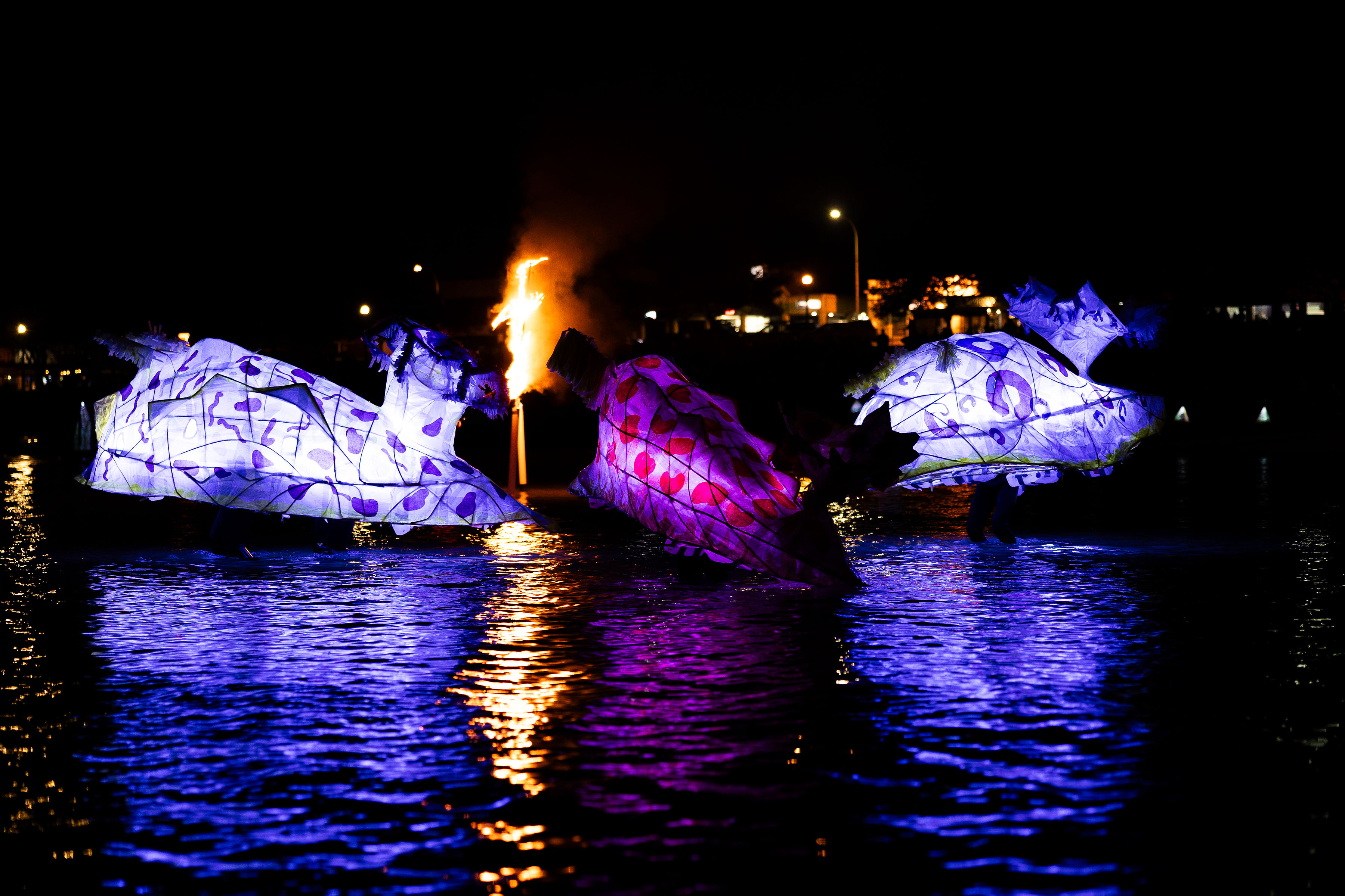 SALT on the Water, Night of the Nudibranch, Lanterns and fire murals dazzle audiences in the water, 2024, Photograph by Mikaela Frick. Funded under round 16.