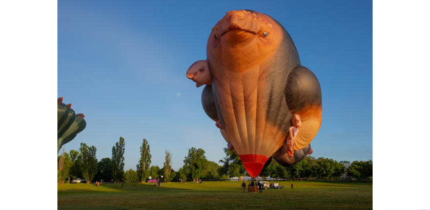 Skywhale hot air balloon.