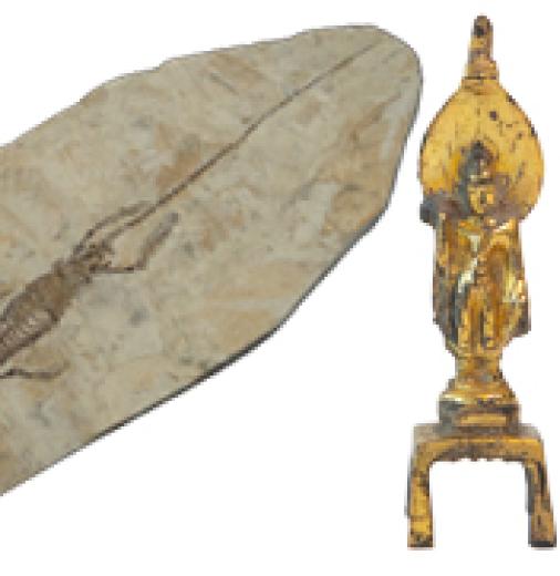 A Hyphalosaurus fossil, a Tang Dynasty gilt bronze Avalokitesvara figurine, and a Tang Dynasty terracotta horse and rider figurine were returned to the Embassy of China in October 2023.
