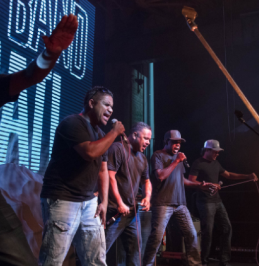 Skinnyfish Sound System, performance at APAM 2018, presented by Skinnyfish Music and Artback NT. Photo: Rob Maccoll