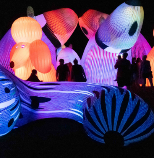 A group of people looking at illuminated sculptures at night.