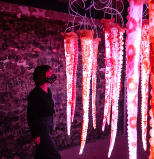 Installation view of Experimenta Life Forms, The Lock Up, Newcastle, NSW. Featured artwork: ‘feeler’ by m0wson&MOwson. Photo by Ben Adams.