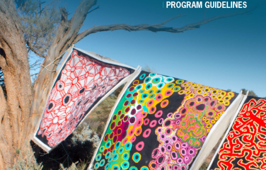 Indigenous visual arts industry support program guidelines