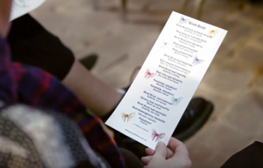 Bindi Bindi — Waking sleeping languages 