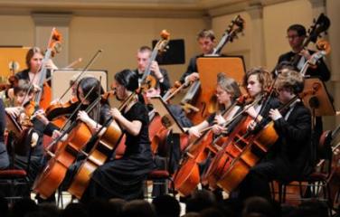 Performers - Australian Youth Orchestra - string musicians - cellos and double basses.